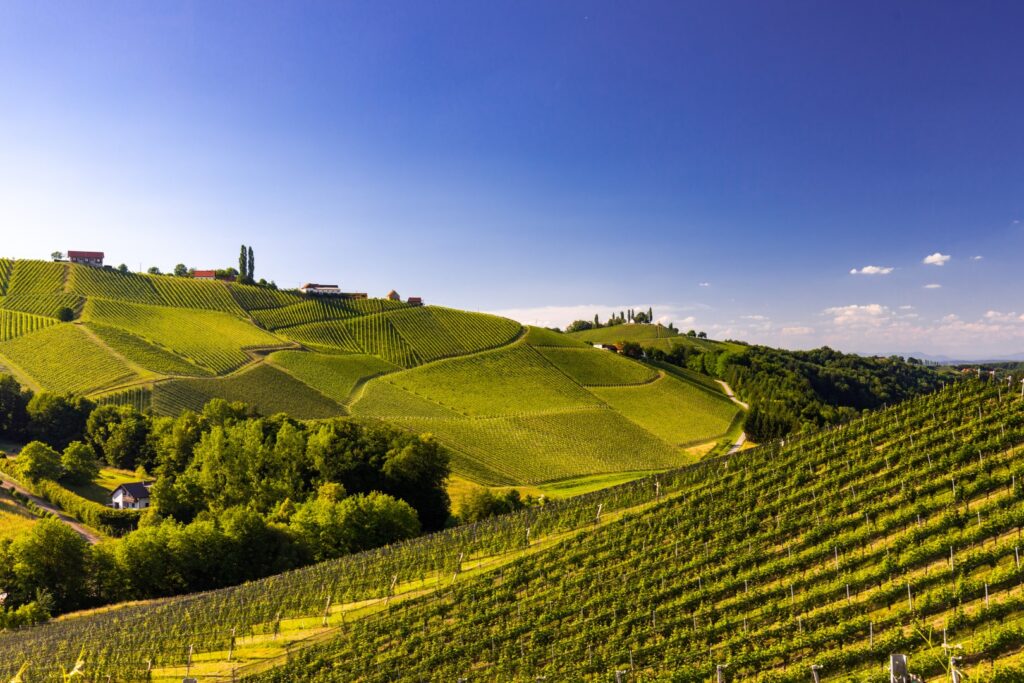 GRAVELEI Südsteiermark